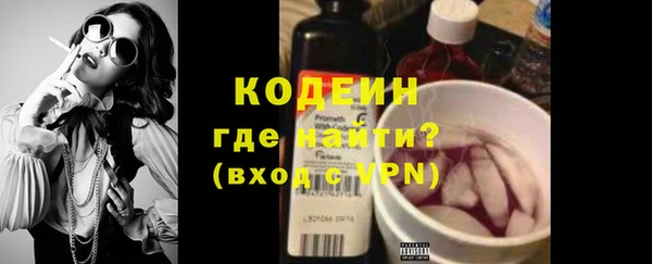 ешки Вяземский