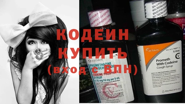 ешки Вяземский