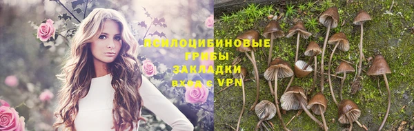 ешки Вяземский