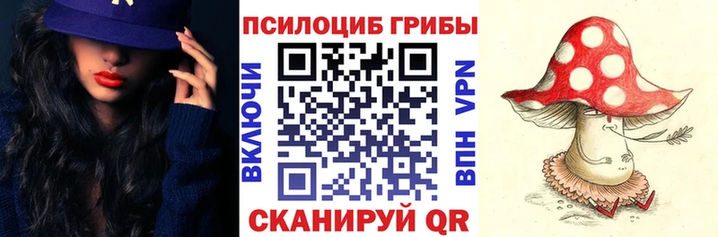 Купить где Урюпинск Псилоцибиновые грибы GOLDEN TEACHER